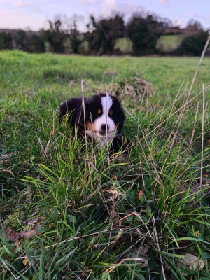 Mademoiselle BLEU CIEL